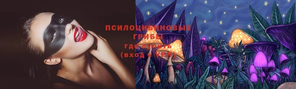 мяу мяу кристалл Инсар