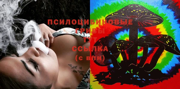 mdpv Иннополис