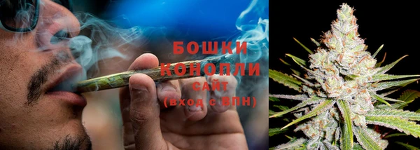 ПСИЛОЦИБИНОВЫЕ ГРИБЫ Инта