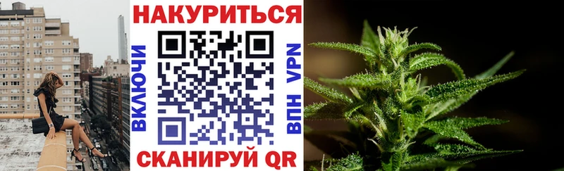 Купить закладки  Богородицк  Конопля семена 